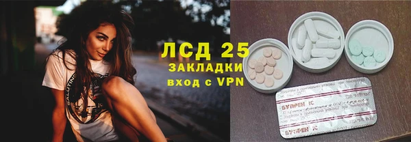 сатива Мещовск