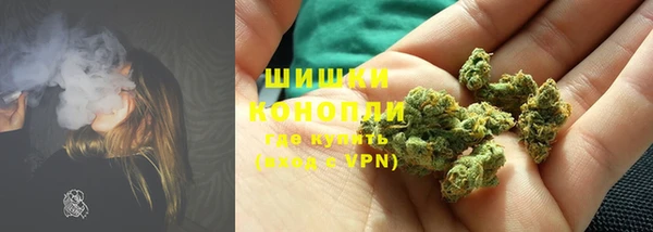гидра Щучье
