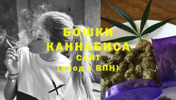 гидра Щучье