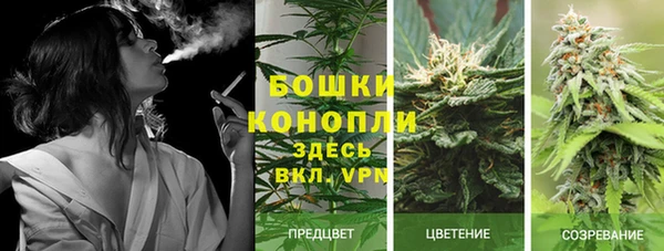 метадон Менделеевск