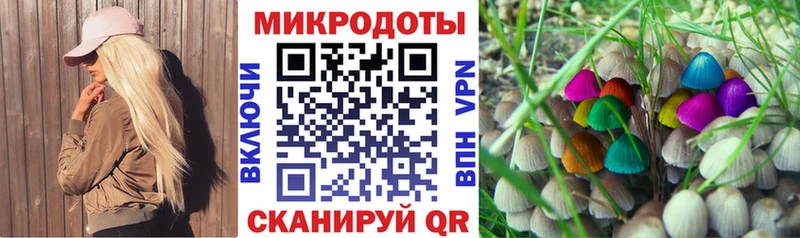 Галлюциногенные грибы Magic Shrooms KRAKEN сайт Карабулак купить наркоту