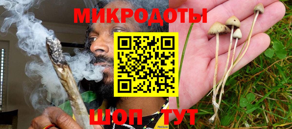 Псилоцибиновые грибы Psilocybine cubensis Карабулак