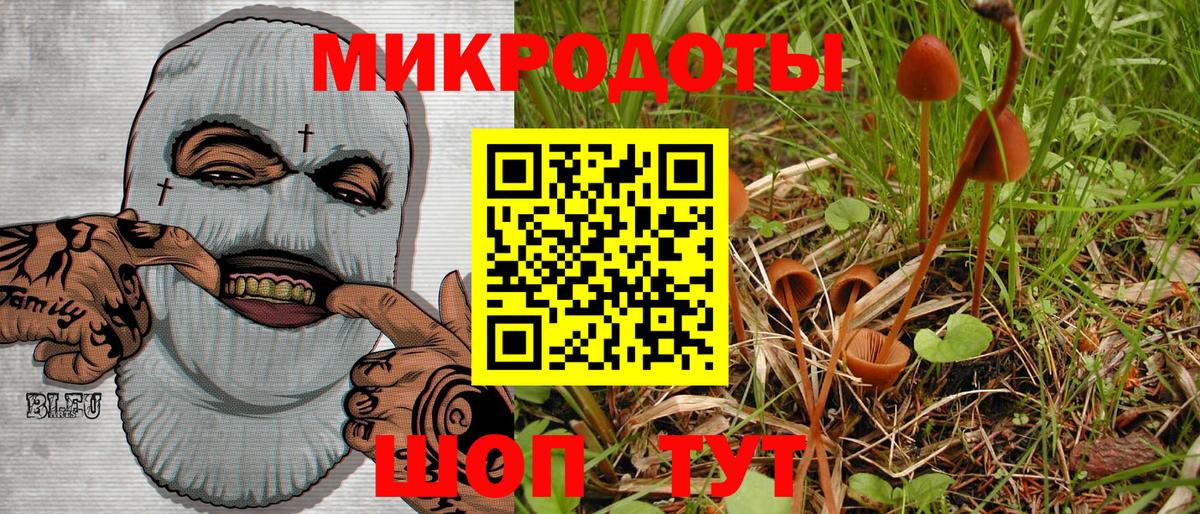 Псилоцибиновые грибы мицелий  Вход с VPN  Карабулак  Псилоцибиновые грибы Cubensis 